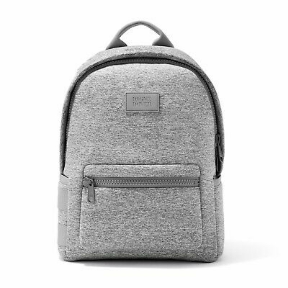Dagne Dover Dakota SMALL Gray Backpack
